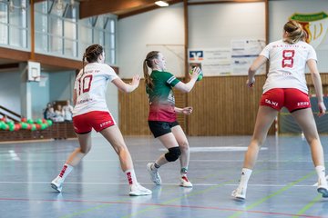 Bild 233 - F HSG Kremperheide/Muensterdorf - Slesvig IF 2 : Ergebnis: 30:26